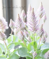 �ץ������������������륿�ĥ����إޥ������