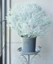 ���ե桼���ꡡ�إࡼ��饰����� ������ޤ�ݻ�Ω��