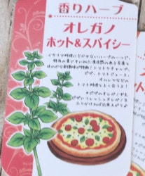 ڲڱ ϡ 쥬Ρإۥåȡѥ