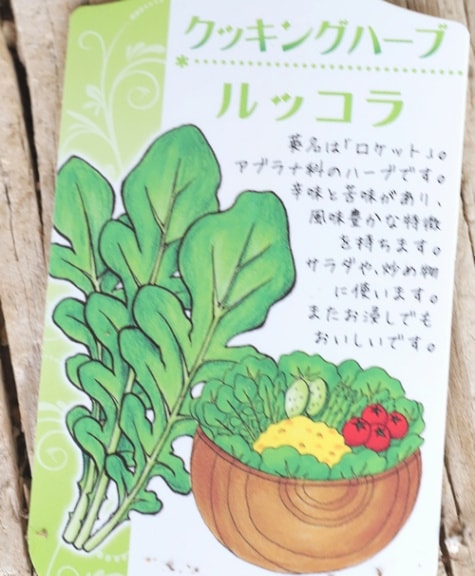 家庭菜園】 ハーブ・ 『ルッコラ』 | すべての商品 | | Junk sweet