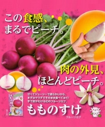 �ڲ����ڱ�� ��������� �ؤ��Τ����� �ݥåȤǰ�ġ�