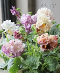 ޥĥХեեवѥ󥸡饤 إƥ󥰡