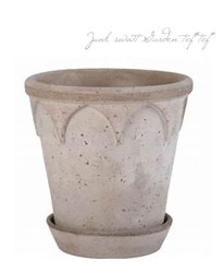 ڻߡBPꥶ٥16ڥ졼ۡ