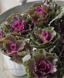 ���ղ�ð���ظ��ҡ١�No.G