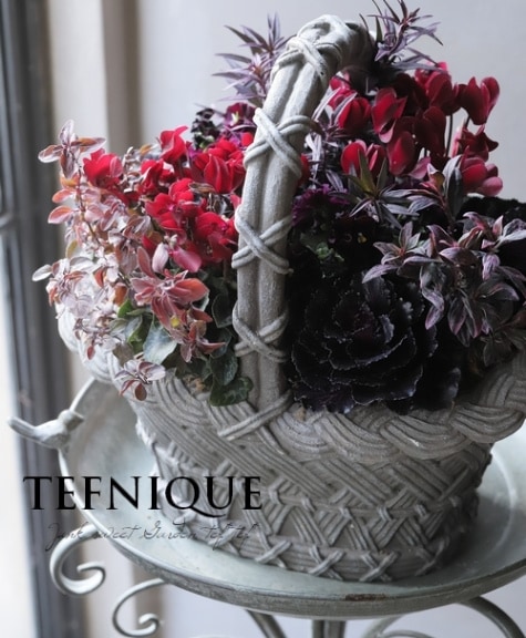 寄せ植え】-TEFNIQUE-寄せ植え 2024 * no.15 * 『大人可愛いXmas