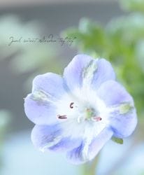 �ͥ�ե��� �إϥ����֥롼��