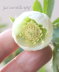 �����±�� ���ꥹ�ޥ����������إۥ磻�ȥ��󥰥�١�2025��No.62��