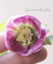 �����±�� ���ꥹ�ޥ����������إѥ��ƥ�å��她�ȥ쥤��١�2025��No.65��