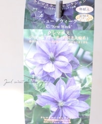 �ڵ���ե饰�꡼��ۥ���ޥ���������å��ޥˡ��ϡ��إ˥塼�����������١�