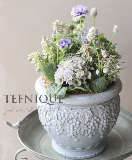 寄せ植え】-TEFNIQUE-寄せ植え 2025 * no.3 * 『大人可愛いスプリング