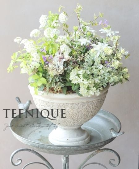 2025母の日の寄せ植え 『ゴブレット鉢のアイボリーバージョン