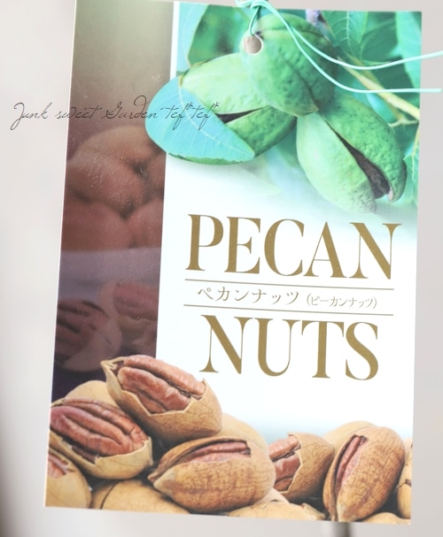 家庭菜園】ペカン（ピーカン）ナッツ 【10％off】 | すべての商品