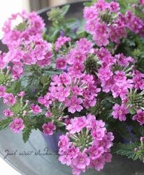 �С��٥ʡ������ͥå�����ѥ��ȡ���new A�� �ɺ��ϥ󥮥󥰥�����