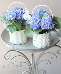 �ڵȲ���Ҥ���ۥ���ѥ����ʼ�λ��۲� �������� �ؤ��ä���� �֥롼