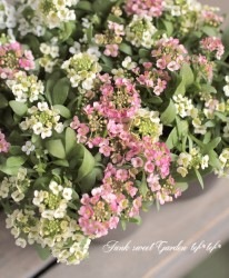 �������ȥ���å��ࡡ�إ��å�MIX��