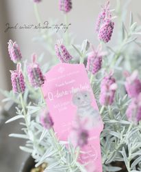 ե٥ إ塼ǥ饷С꡼ա٥ƥԥ