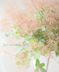 ⡼ĥ꡼إǥԥ󥯡 2025No.4