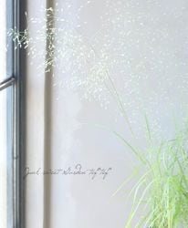 ڥ饹ʪۥ饰ƥإȥꥳǥ