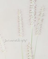 ڥ饹ʪۥڥ˥ࡦڥǥ إǥ󥹡 