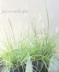 ڥ饹ʪۥڥ˥ࡡإϥ󥴡ɡ 