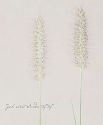 ڥ饹ʪۥڥ˥ࡡإ֥åӥ塼ƥ