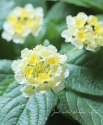 ��󥿥ʡ������ॳ��ѥ��ȡ��إ��󥯥����ġ١�