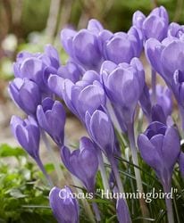 ڵ庬 餭åȥޥ˥̥إϥߥ󥰥Сɡ١庬5