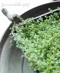 �ڥ�����������ۡڽ�����ۥ٥ӡ��ƥ������������ȡإ٥ӥƥ��������ȡ١�2������