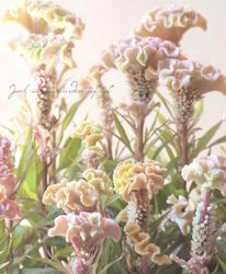 �����������ۥåȥȥԥå����إ꡼�ա٥����ȥ�