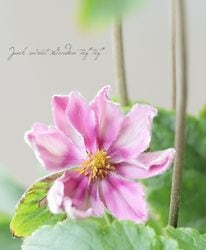 Ȭź餭ơؤ͡١奦ᥤ 