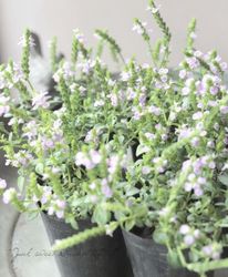 ���ĥͥΥޥ� �إԥ󥯥ͥå��쥹��