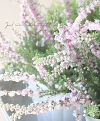 Ȭź餭롼ʡإ奨ɥåץѡ ڥۥ磻ȡԥ󥯡