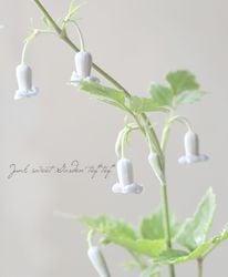 ڵե饰꡼ ޥإ饯쥤եꥢϡذ˿ỳܥ١