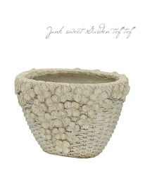 ڻߡۡڷ̡ ꡼ХåȥХSڥܥ꡼ߥɡ