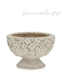 �ڻ��ߡۡڷ��̡� ���꡼���Х����åȥ��֥�å�S�ڥ����ܥ꡼��