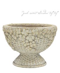 ڻߡۡڷ̡ ꡼Хåȥ֥åLڥܥ꡼ߥɡ