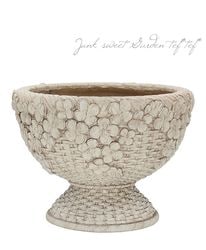 ڻߡۡڷ̡ ꡼Хåȥ֥åLڥܥ꡼