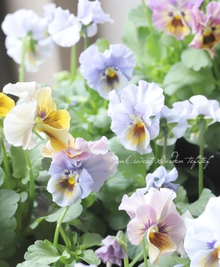 超希少⭐︎リサラーソン お花とうし 超希少⭐︎リサラーソン お花とうし 超希少⭐︎リサラーソン お花とう