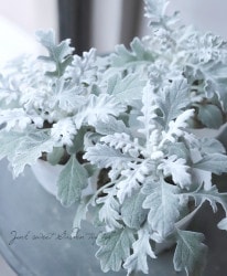 ݡۥƥߥ顼إСȡ١إХ顼ɡ  3ܿ