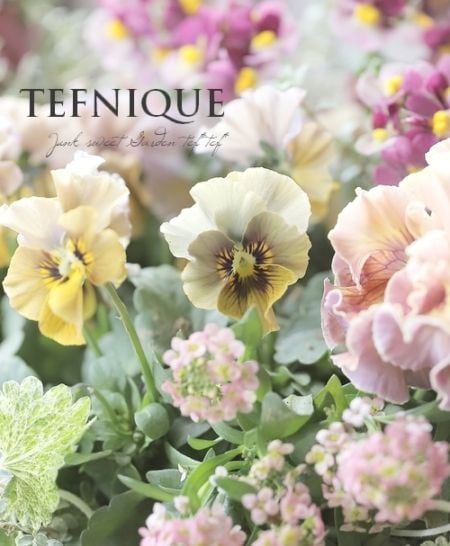 寄せ植え】-TEFNIQUE-寄せ植え 2025 * no.4 * 『大人可愛いクリスマス