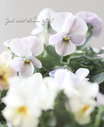 �������व��Υӥ��顦������  ��MIX��