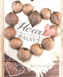 �ڲ̼��ۡ�ɱ����ߡ� 