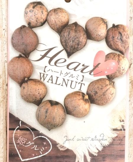 果樹】『姫グルミ』 | 花苗 | | Junk sweet Garden tef*tef*