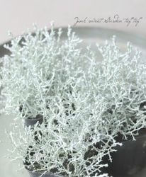 �������ե��륹���إ���С��֥å���� 