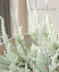 ���롼�ʡ������ǥ󥬡��륺���إե�åƥ���