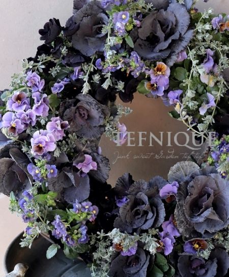 �ڴ󤻿����� -TEFNIQUE-�󤻿����꡼�� 2025 * no.15 *����ͤ��ä���������֥��å��ʣ�'mas��