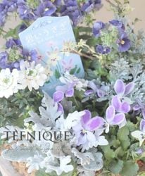 -TEFNIQUE-�󤻿��� 2025 * no.16 *�����ˤ��������ι�ꤹ���ߤξ����ʿ�����