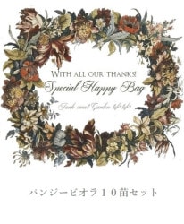 �ڽ�2026�ۿ��ղ���ʡ�ޡ��ѥ󥸡��ӥ���10��