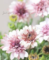 �ھ�����ݡۥ����ƥ����ڥ�ޥࡡ�ѥƥ������إ٥꡼�ۥ磻�ȡ�