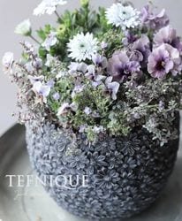 �ڴ󤻿�����-TEFNIQUE-�󤻿��� 2026 * no.1 *������Ͳİ���������ӥ塼�ƥ�������